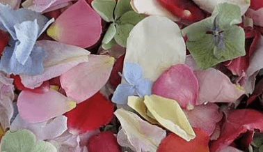 Blue Iris Florist Too Good To Go listing