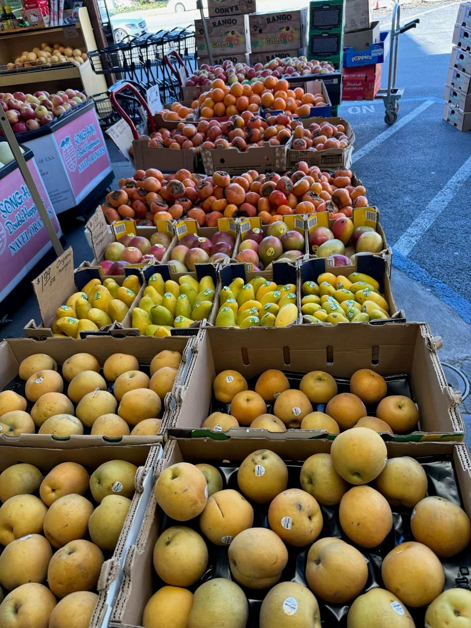 Green Fish Market Too Good To Go listing