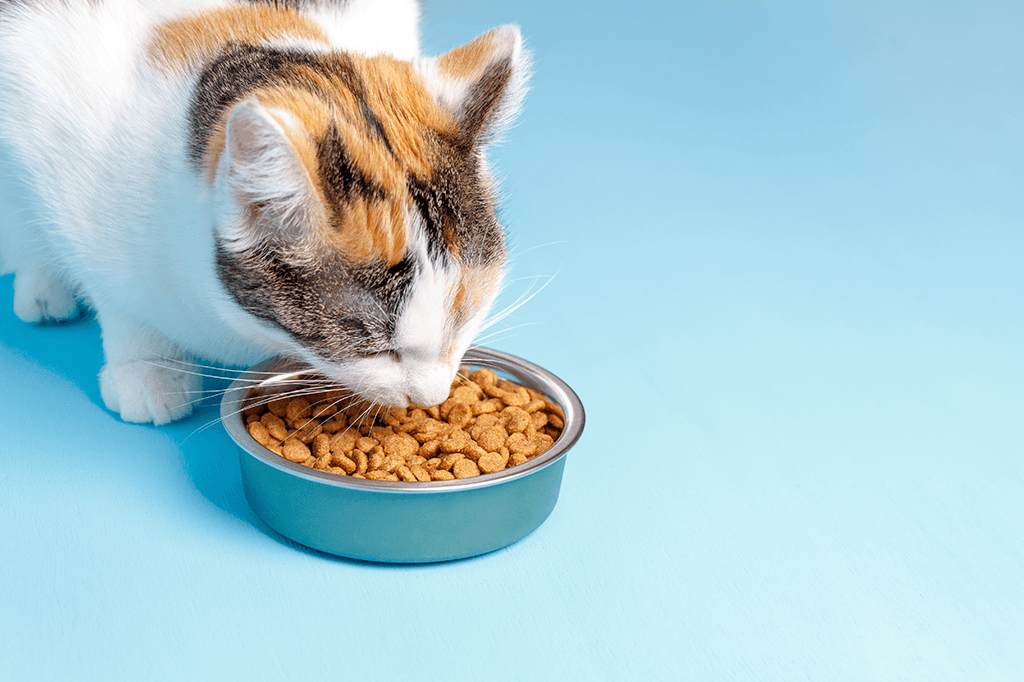 K & K Pet Foods Too Good To Go listing