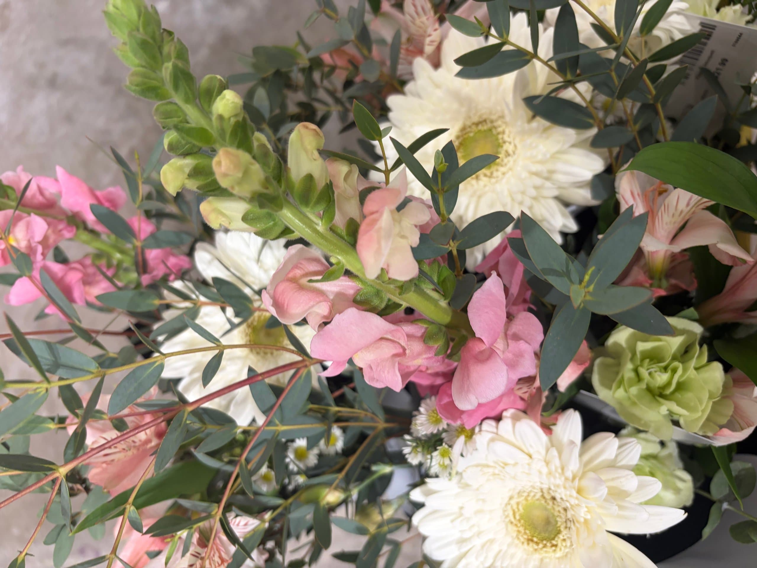 Bloom & Blush Studio Too Good To Go listing