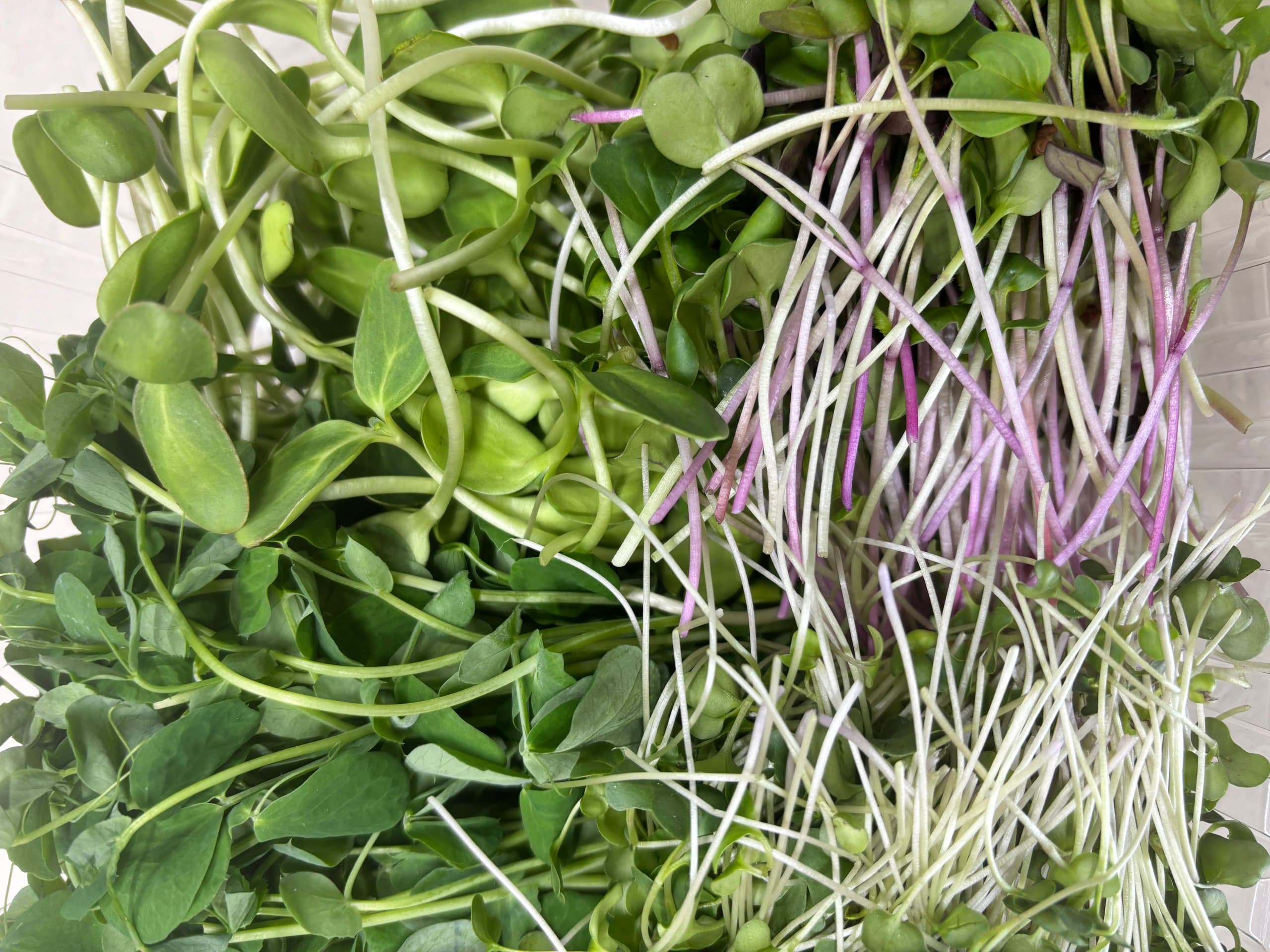 Field to Fork Urban Farm Too Good To Go listing