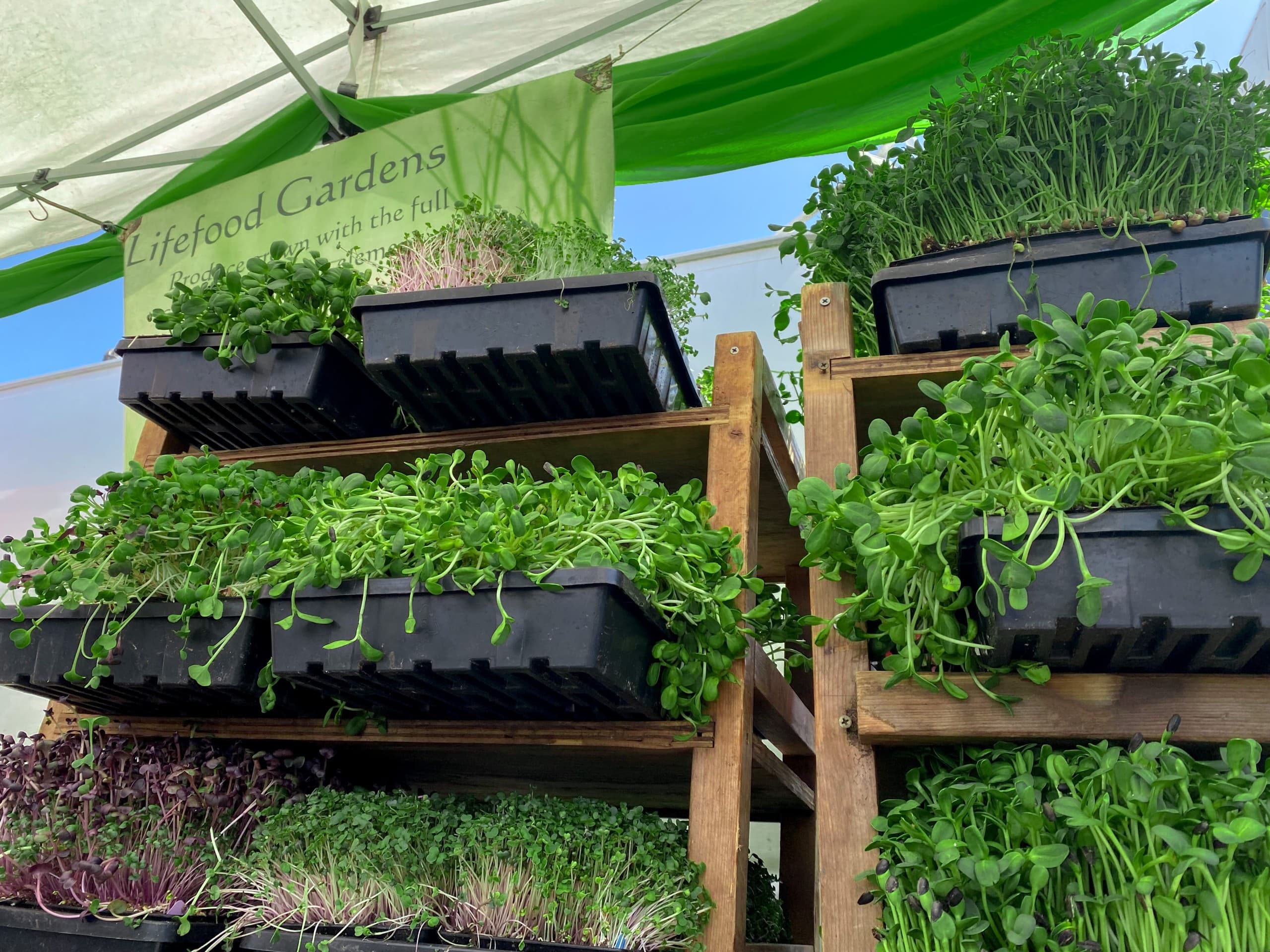 LifeFood Garden Too Good To Go listing