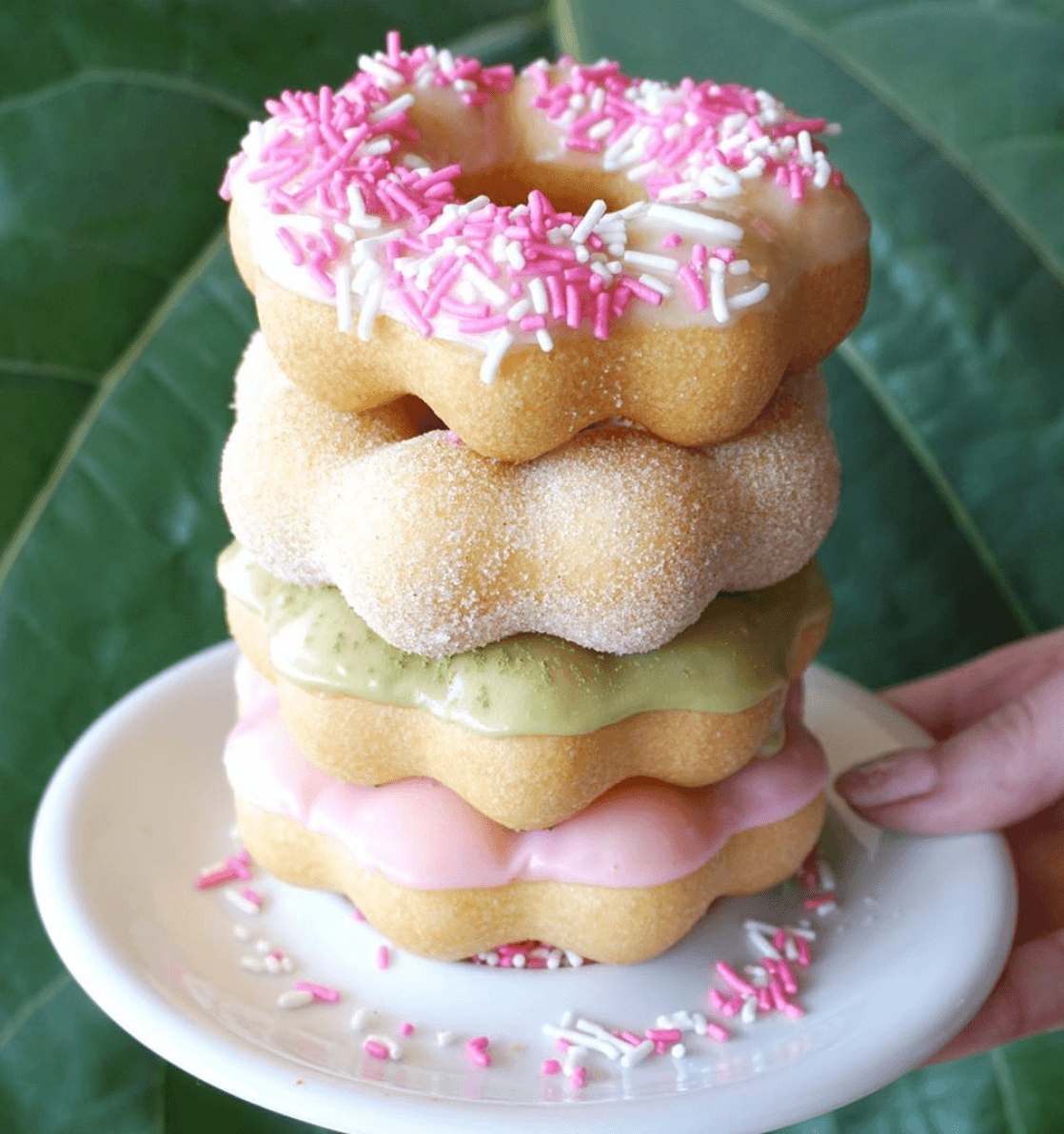 Coco Donuts  Too Good To Go listing