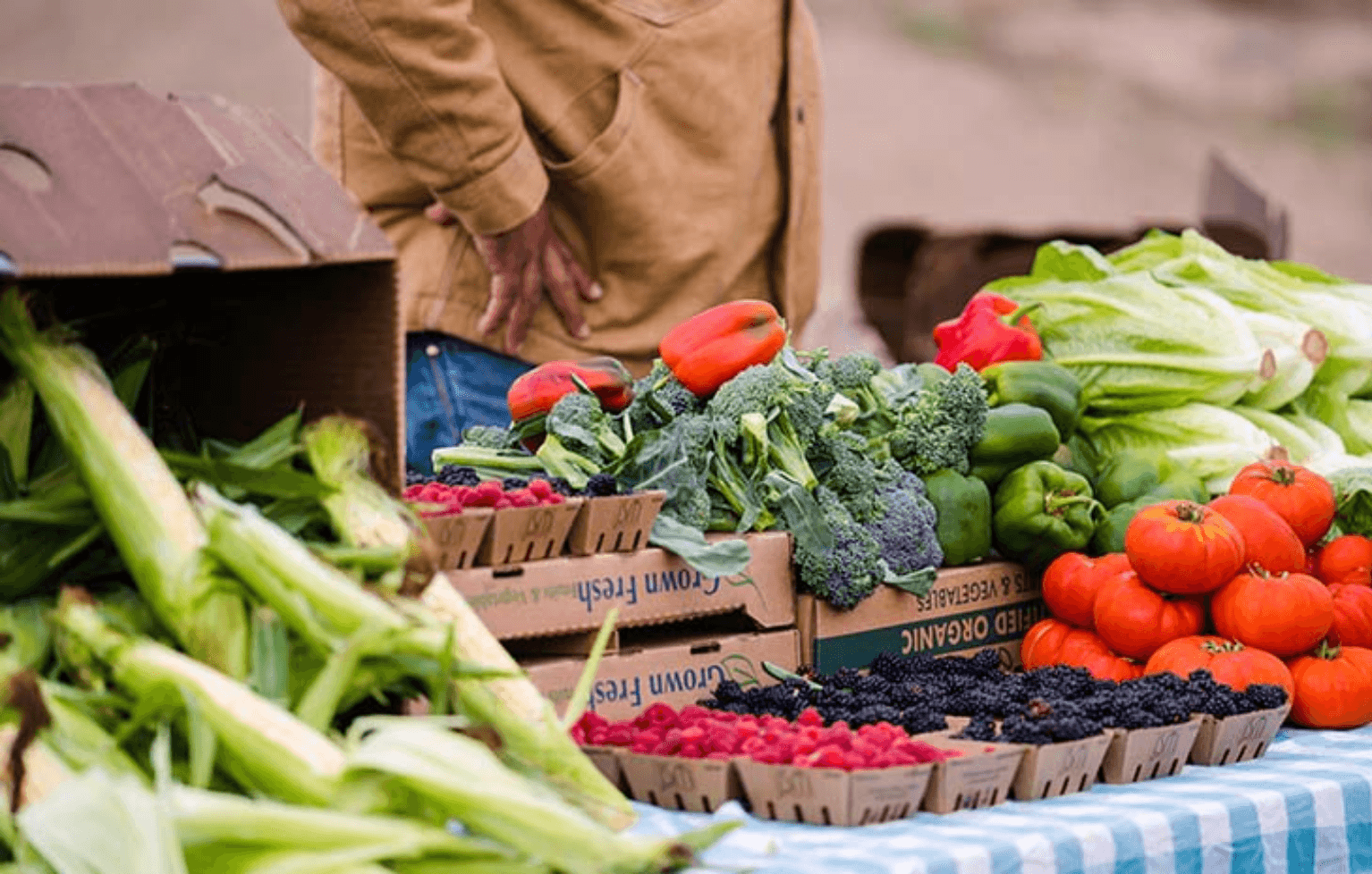 JSM Organics Too Good To Go listing