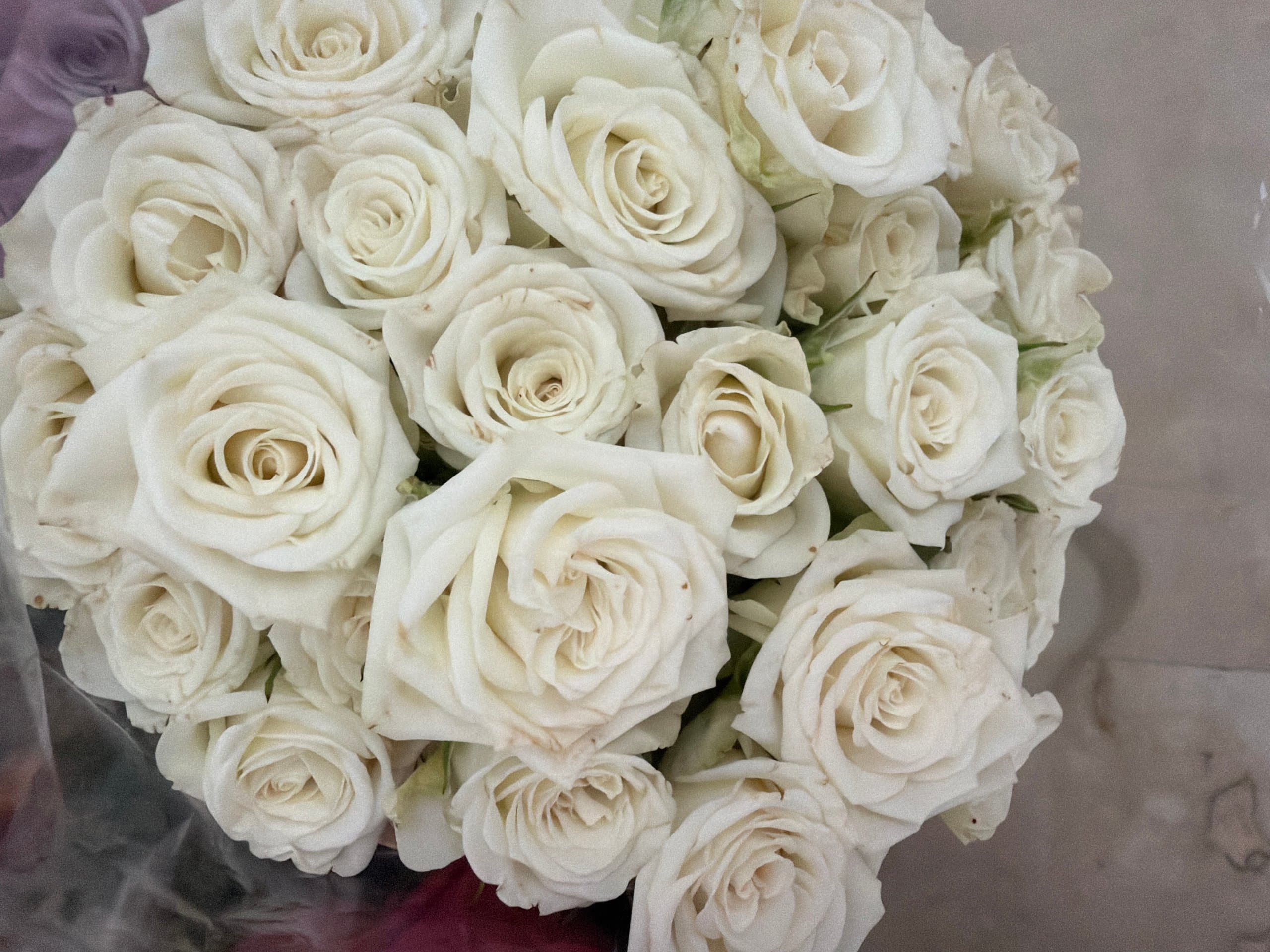 The House of Flowers Too Good To Go listing