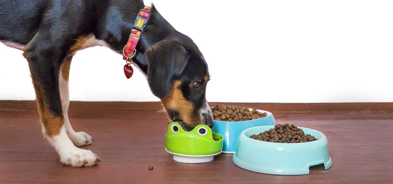 Pet Hub Too Good To Go listing