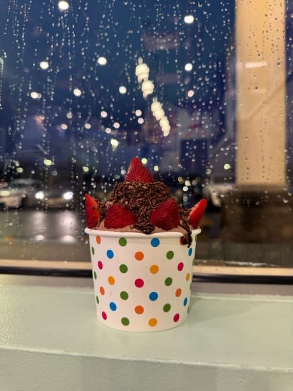 Swirls and Twirls Frozen Yogurt Too Good To Go listing