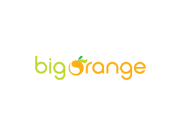 Big Orange logo