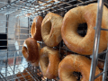 Sam's bagels logo