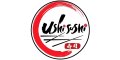 Ushi Sushi logo