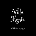 Villa Monte  logo