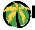 Island Tings logo