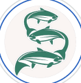 Simply Nova logo