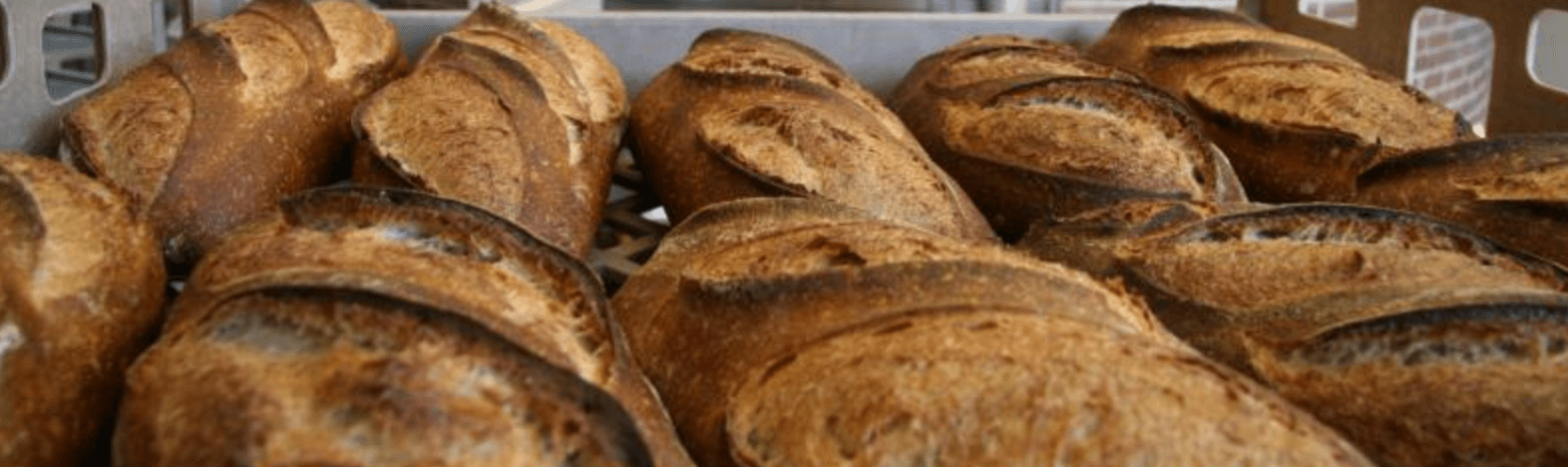 Acme Bread Too Good To Go listing