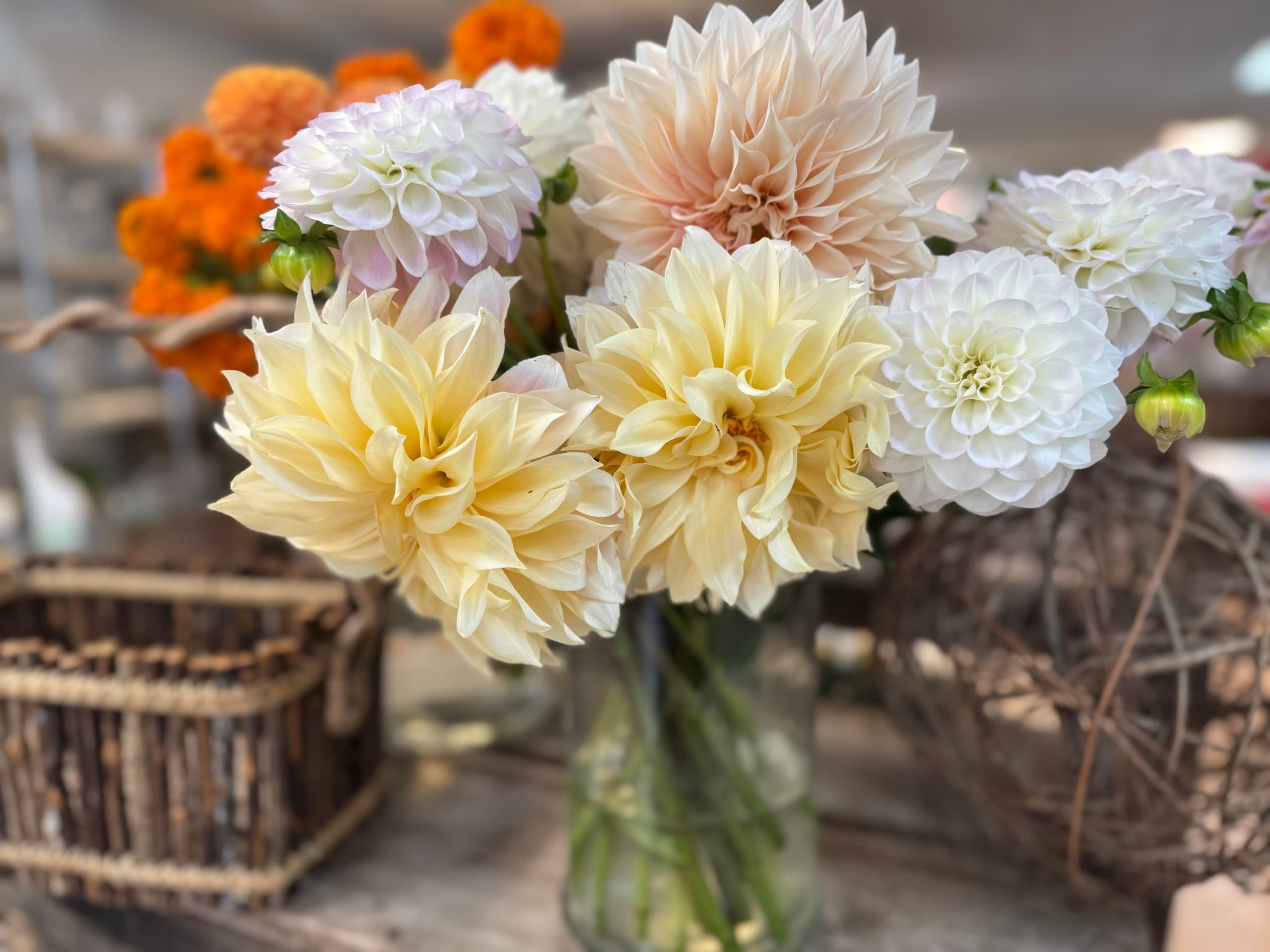 Tea Rose Flower Shop Too Good To Go listing